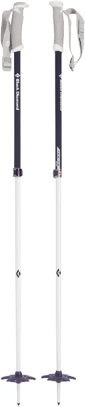 Boundary Probe Ski Poles