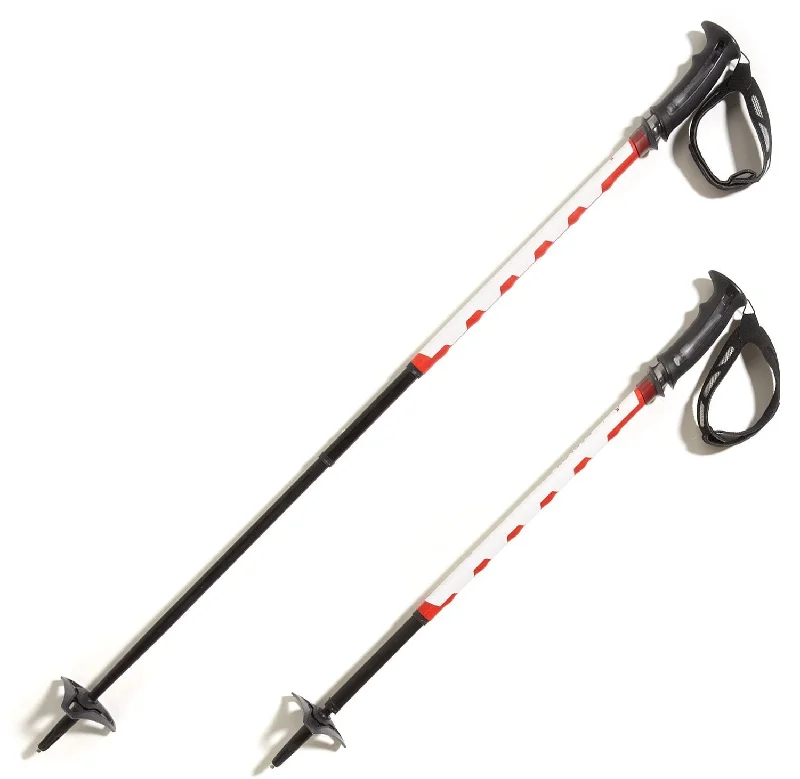 Deploy TR-3 Snowshoe Poles - Pair