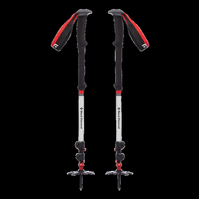 EXPEDITION 3 SKI POLES